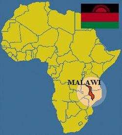 what is the language of malawi